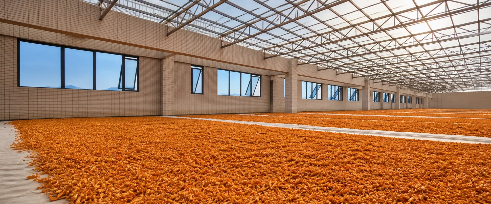 Preserved fruit drying room at the A SHAN SISTER facility