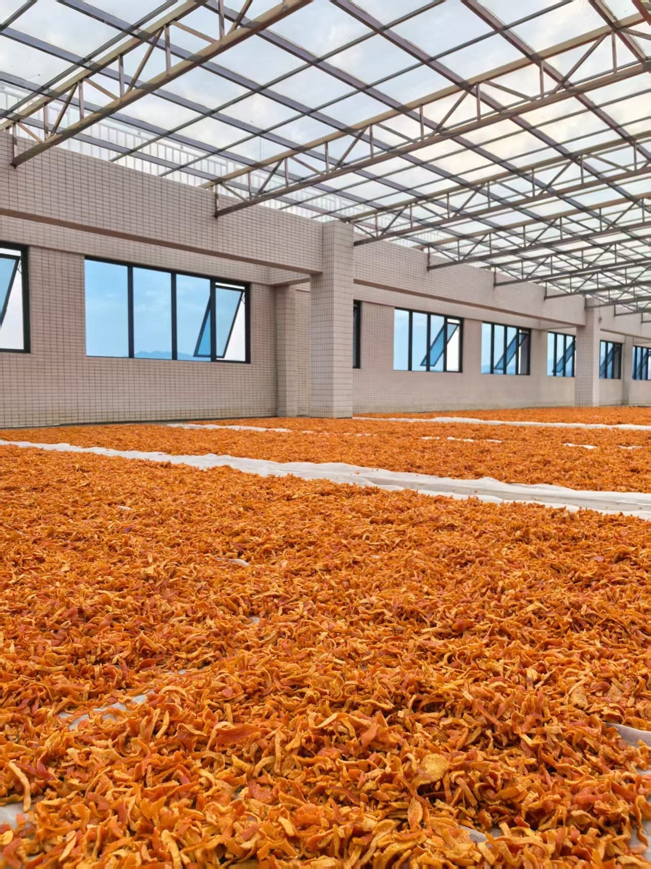 Preserved fruit drying racks inside an A SHAN SISTER workshop